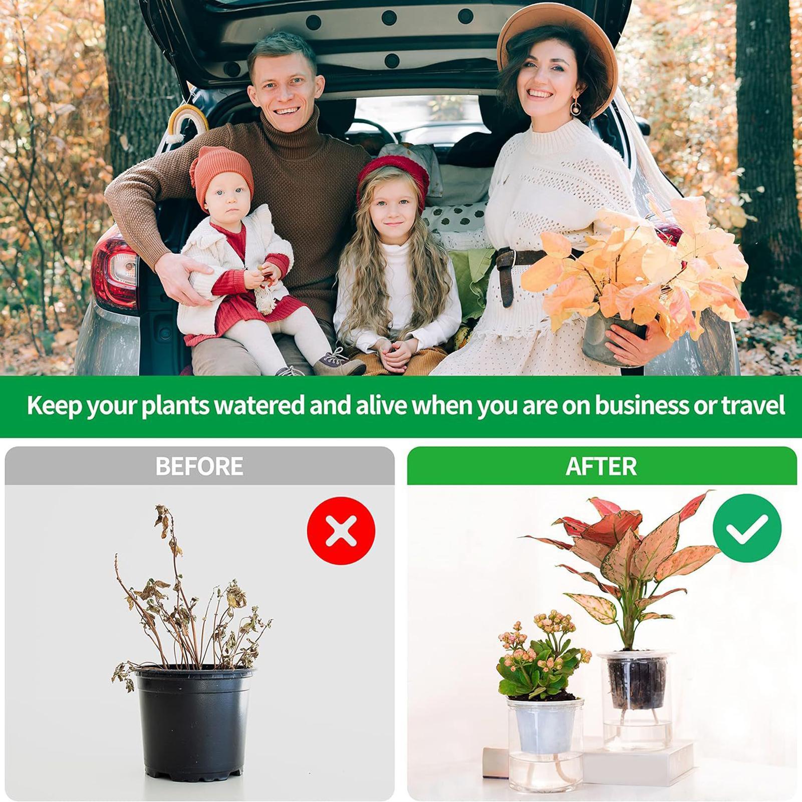 Pflanzenwickler für Selbstbewä – Self-Watering Planter Bewertung und Preis