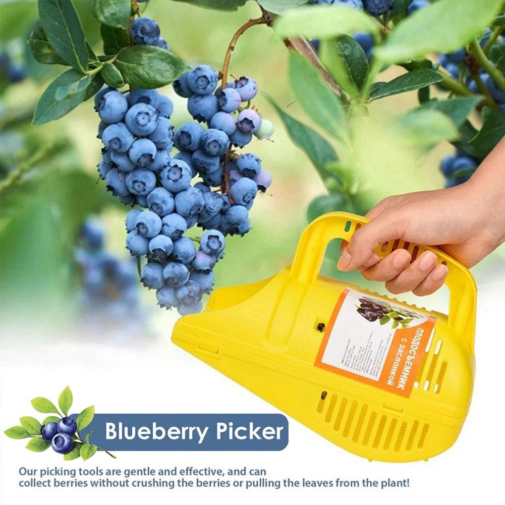 Leicht zu handhabendes Blaubee – Gardening Tools Must Haves Bewertung und Preis