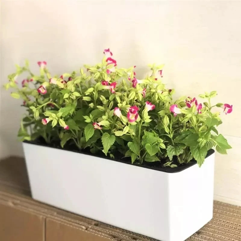 Rectangula Lazy Flower Pot Top – Automatic Plant Waterer Bewertung und Preis