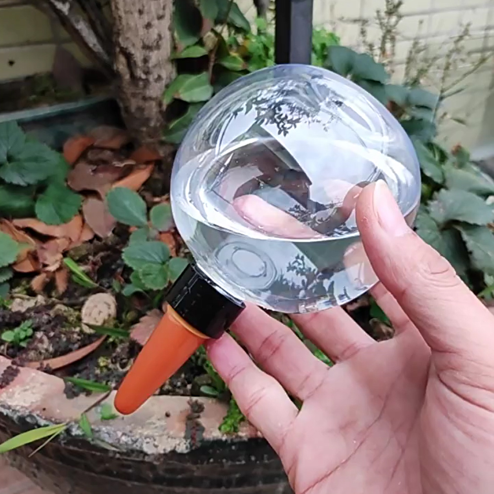 500ML Selbstbewässernde Globen – Self-Watering Planter Bewertung und Preis