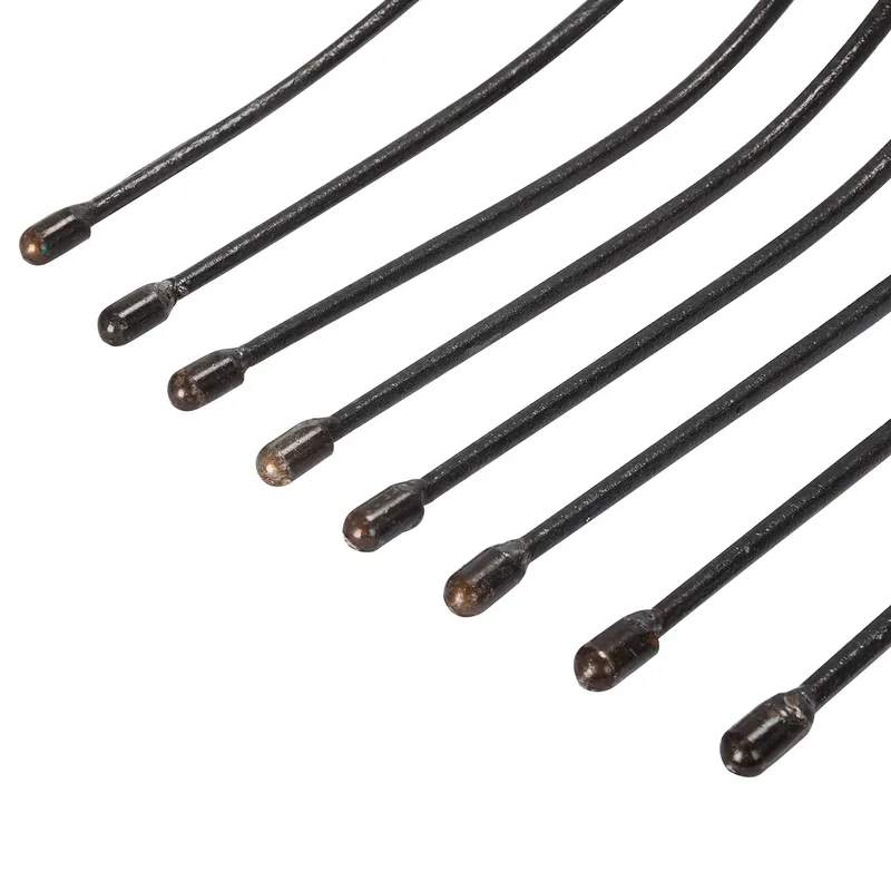 Winslow & Ross 4-Zahn geschmie – Spade Digging Fork Bewertung und Preis